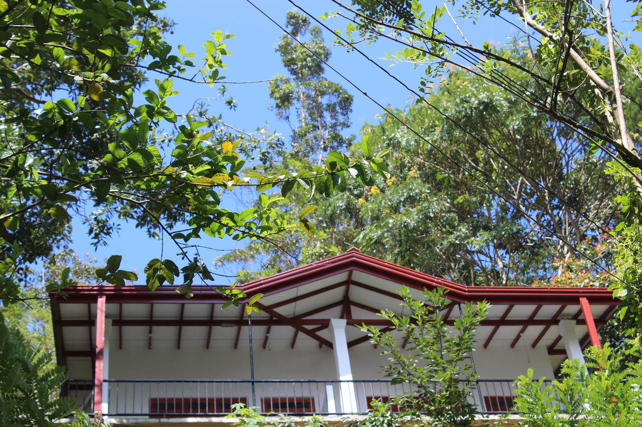 Amado Homestay Ella Bagian luar foto