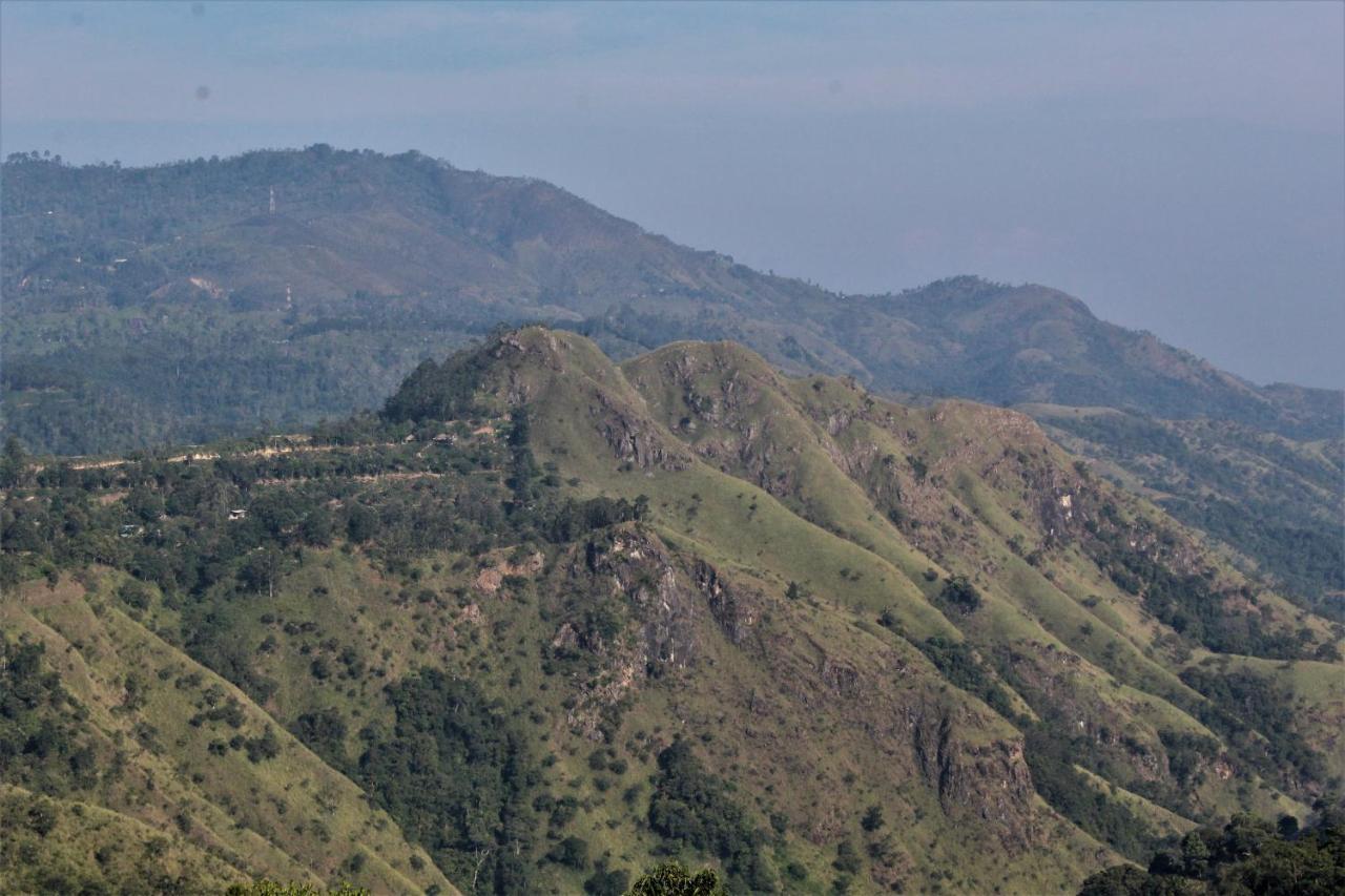 Amado Homestay Ella Bagian luar foto