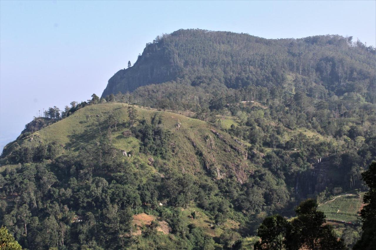 Amado Homestay Ella Bagian luar foto